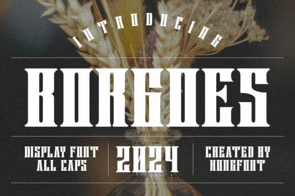 Borgoes Font: Adding Vintage Charm to Modern Branding