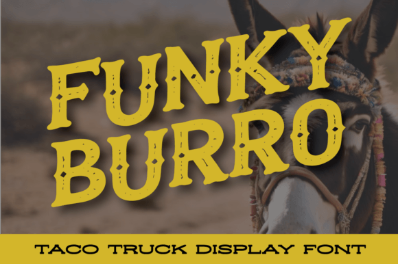 Funky Burro Font: Vintage Charm for Editorial Design
